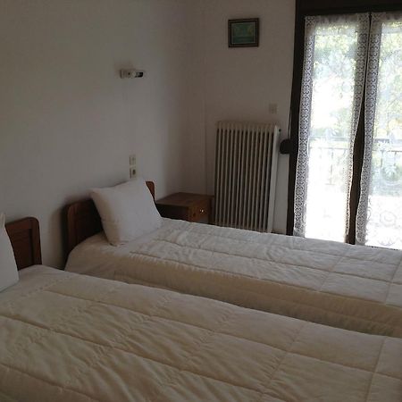 Hotel France Kalampáka Eksteriør bilde